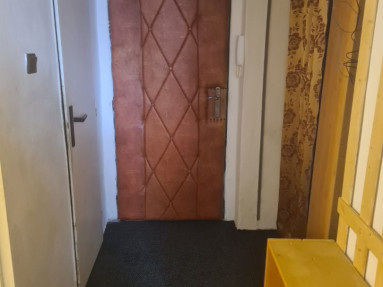 3395389_5