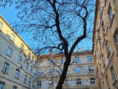 Realitná kancelária Realadr s.r.o.