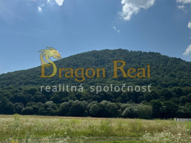 PREDAJ - 2 Investičné pozemky o rozlohe 2307m2 a 461 m2- VEĽKÝ ŠARIŠ časť BARATOKY