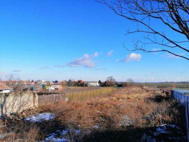 IMG_20220122_110357